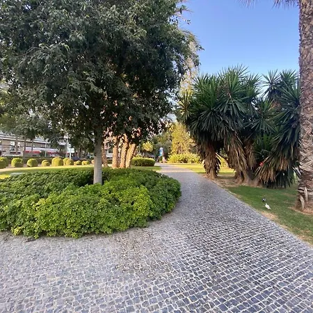 Appartement Loft Puerto Deportivo *